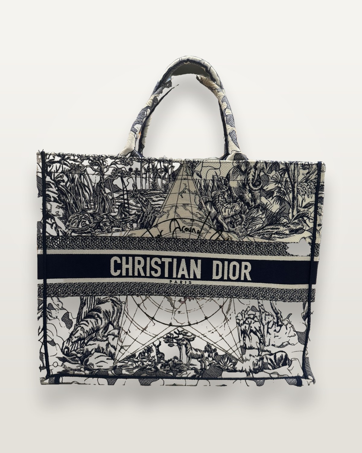 Dior Book Tote Medium